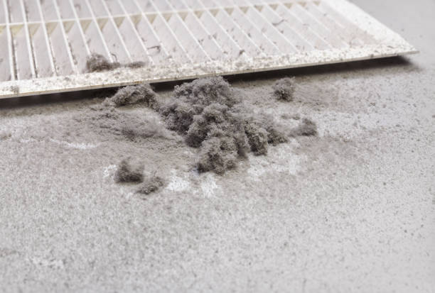 Best Ductwork Cleaning Services  in Fort Branch, IN